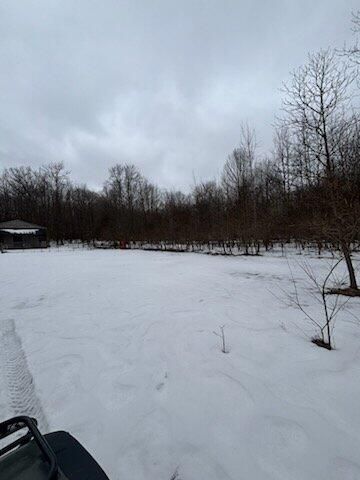 7050 N Poplar Road, Freesoil Twp, MI 49411