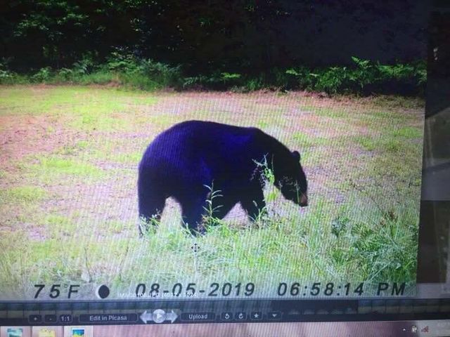 7050 N Poplar Road, Freesoil Twp, MI 49411