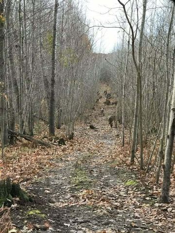 7050 N Poplar Road, Freesoil Twp, MI 49411