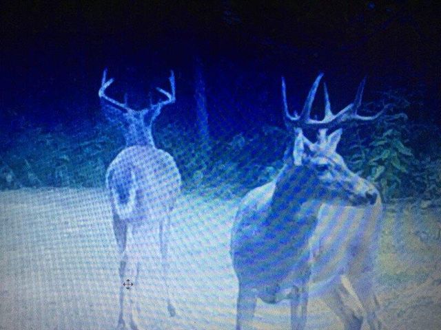 7050 N Poplar Road, Freesoil Twp, MI 49411