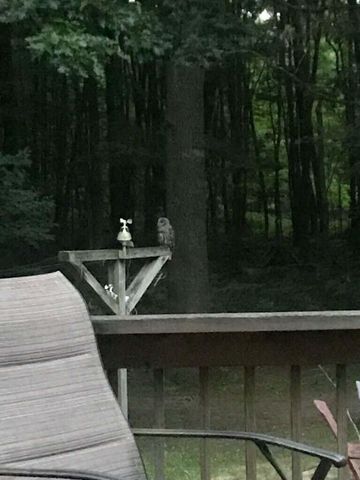 7050 N Poplar Road, Freesoil Twp, MI 49411