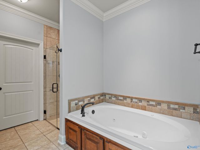 25390 Castlebury Drive, Athens, AL 35613