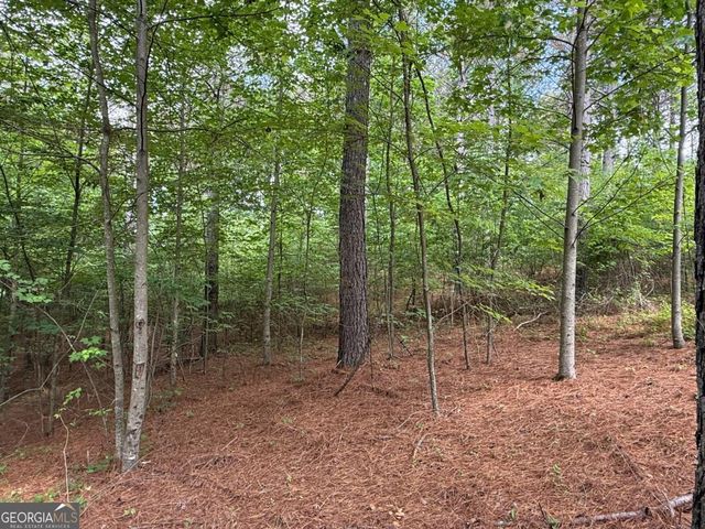 LOT 9 Eastview Trail, Ellijay, GA 30536