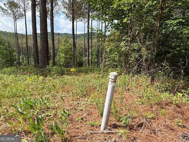 LOT 9 Eastview Trail, Ellijay, GA 30536