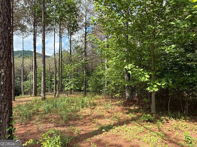 LOT 9 Eastview Trail, Ellijay, GA 30536