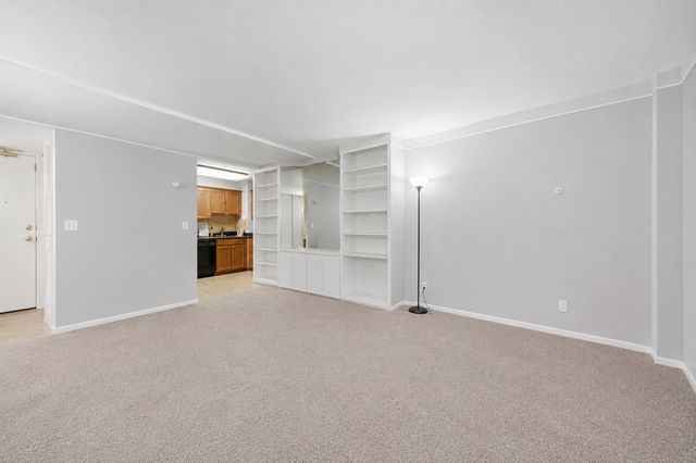 233 E Erie Street 1110, Chicago, IL 60611