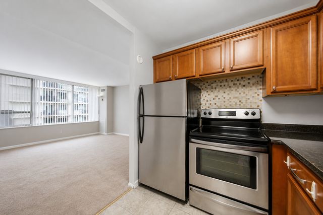 233 E Erie Street 1110, Chicago, IL 60611