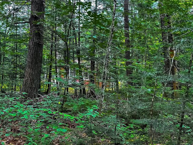 433 New Hampshire Route 25A, Wentworth, NH 03282
