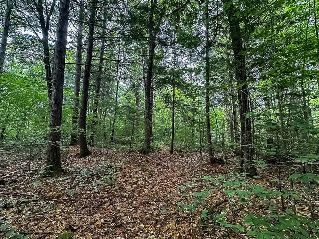 433 New Hampshire Route 25A, Wentworth, NH 03282