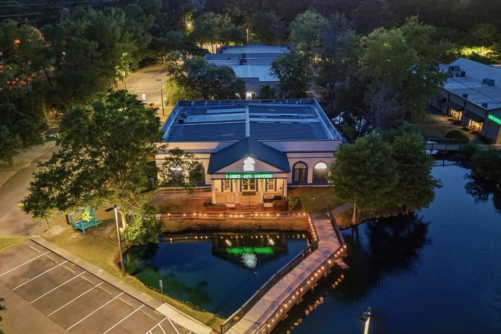 14319 Ocean Highway, Pawleys Island, SC 29585 — photo 5