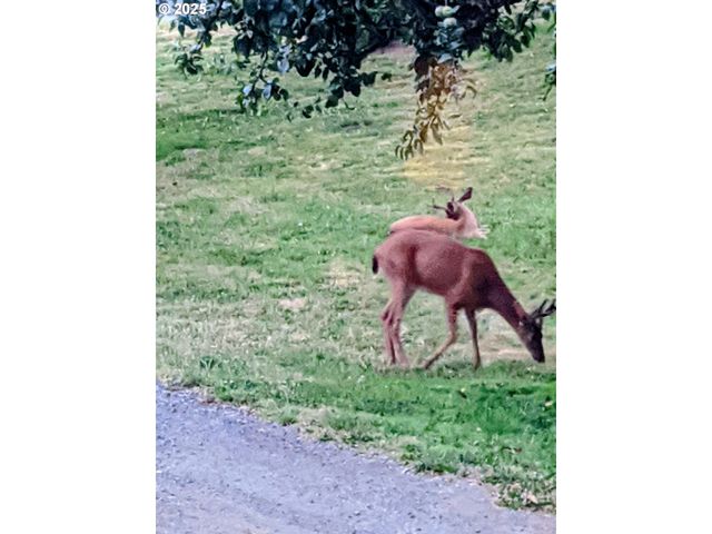 122 Ne 4TH St, Willamina, OR 97396