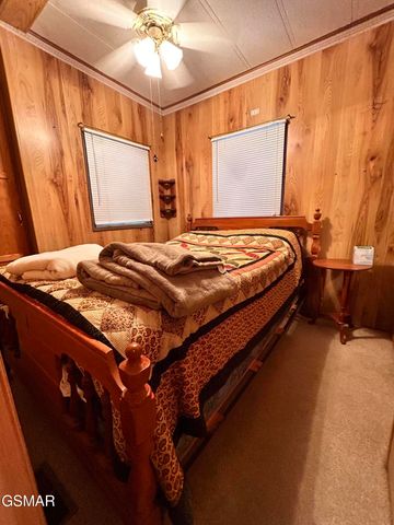 261 Lily Way, Cosby, TN 37722