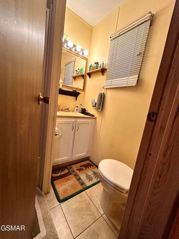 261 Lily Way, Cosby, TN 37722