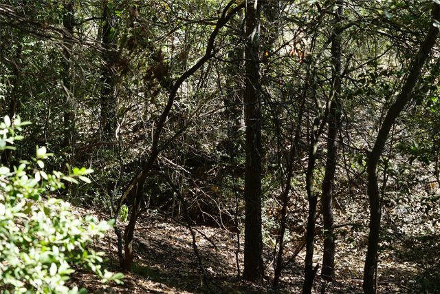 1135 Private Road 7039, Lexington, TX 78947