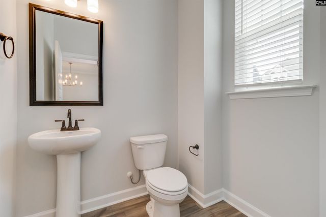 617 Falling Leaf Lane, Chapin, SC 29036