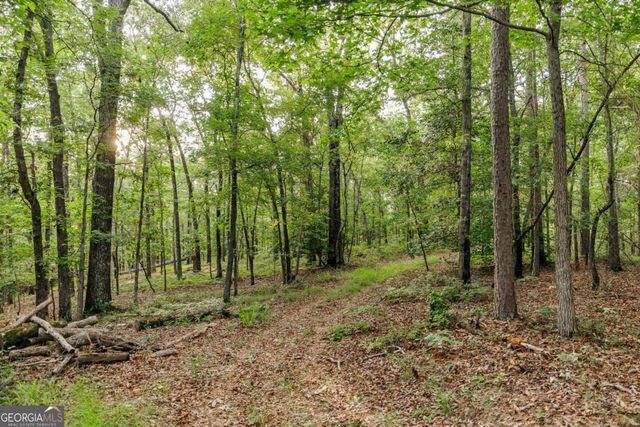 706 Sam Bruce Road, Royston, GA 30662