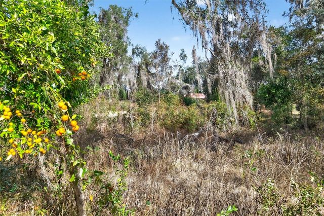 8989 S GREAT OAKS DRIVE, Floral City, FL 34436