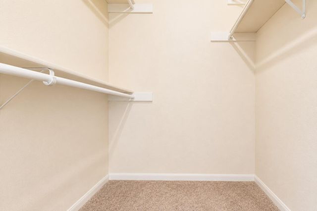 8299 Cambridge Street 901, Houston, TX 77054