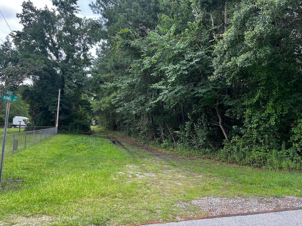 Image 3 of property listing at 0 Austin Drive, Walterboro, SC 29488