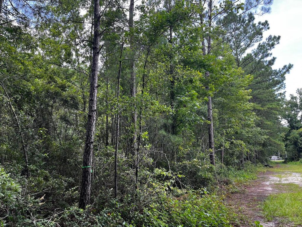 Image 4 of property listing at 0 Austin Drive, Walterboro, SC 29488