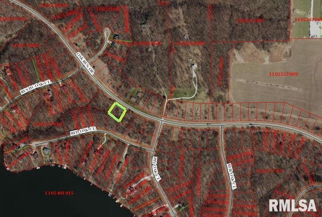 7311 OAK RUN Drive, Dahinda, IL 61428