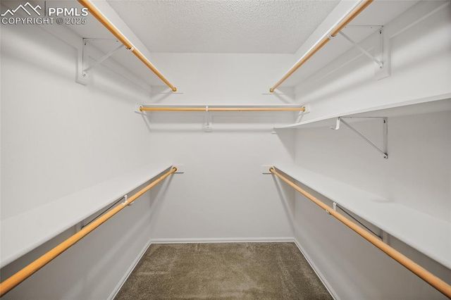 4401 Windmill Creek Way, Colorado Springs, CO 80911