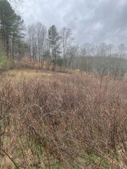 0 Treemont Drive, Dickson, TN 37055