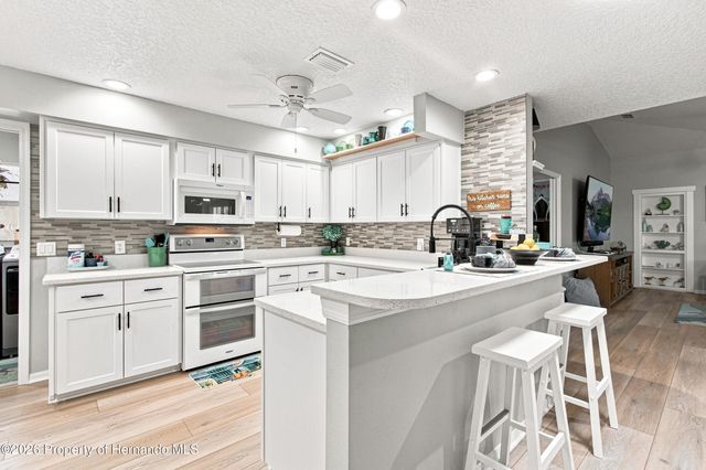 7300 Clearmeadow Drive, Spring Hill, FL 34606
