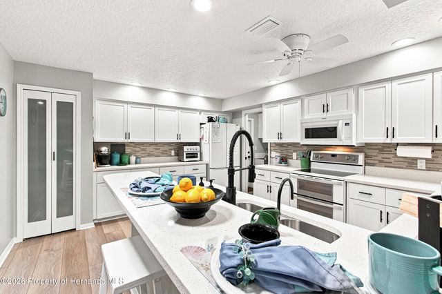 7300 Clearmeadow Drive, Spring Hill, FL 34606