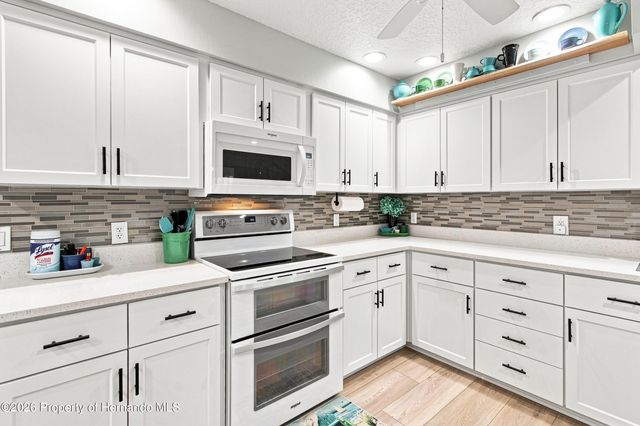 7300 Clearmeadow Drive, Spring Hill, FL 34606