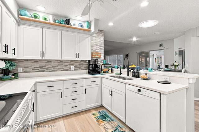 7300 Clearmeadow Drive, Spring Hill, FL 34606