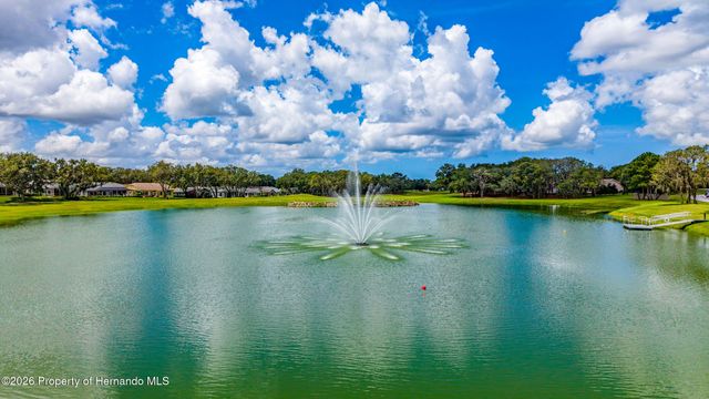 7300 Clearmeadow Drive, Spring Hill, FL 34606