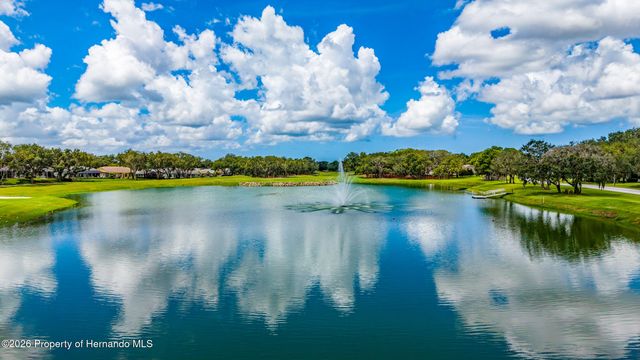 7300 Clearmeadow Drive, Spring Hill, FL 34606