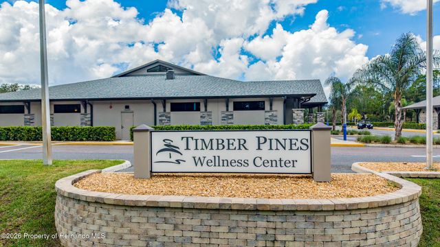 7300 Clearmeadow Drive, Spring Hill, FL 34606