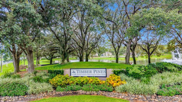 7300 Clearmeadow Drive, Spring Hill, FL 34606