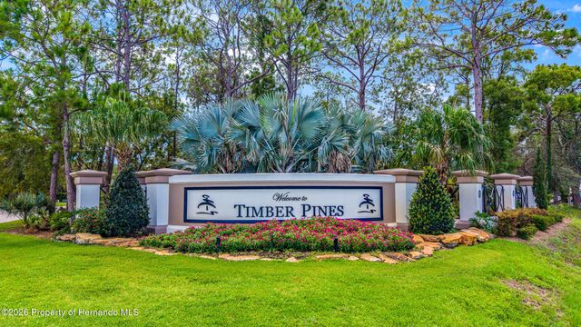 7300 Clearmeadow Drive, Spring Hill, FL 34606