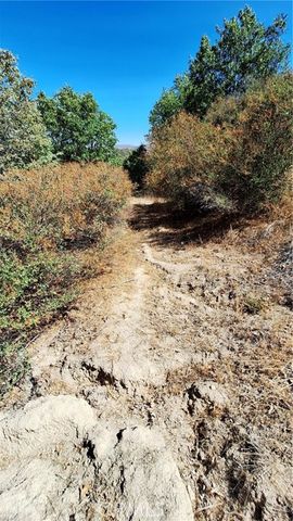 0 Coulter, Cedar Glen, CA 92321