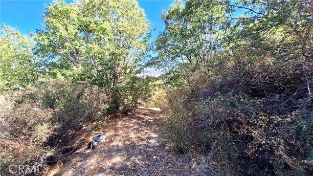 0 Coulter, Cedar Glen, CA 92321