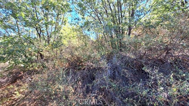 0 Coulter, Cedar Glen, CA 92321