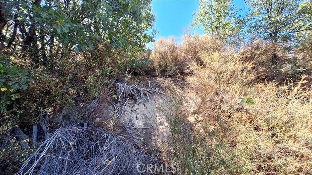 0 Coulter, Cedar Glen, CA 92321