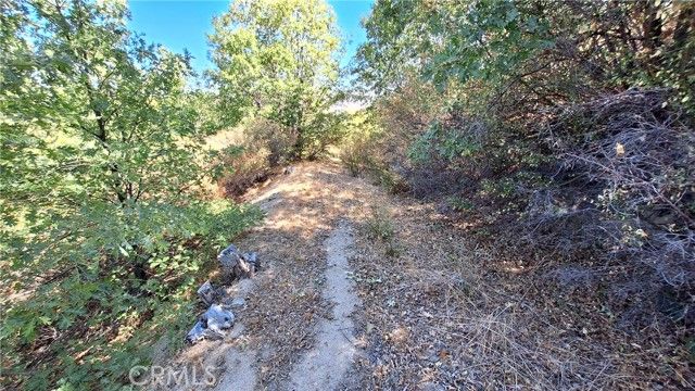 0 Coulter, Cedar Glen, CA 92321