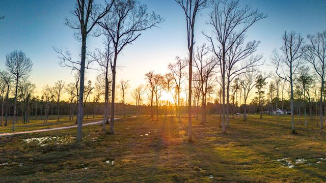 TBD 04 Johnson Drive, Livingston, TX 77351