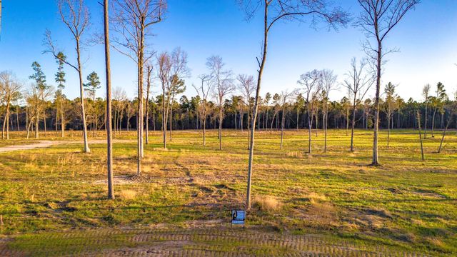 TBD 04 Johnson Drive, Livingston, TX 77351