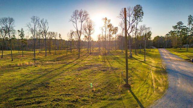 TBD 04 Johnson Drive, Livingston, TX 77351