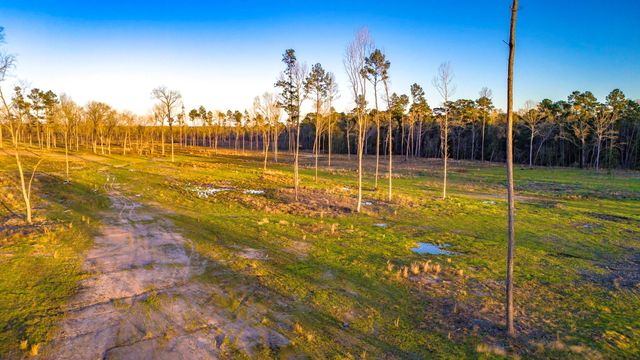 TBD 04 Johnson Drive, Livingston, TX 77351