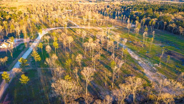 TBD 04 Johnson Drive, Livingston, TX 77351