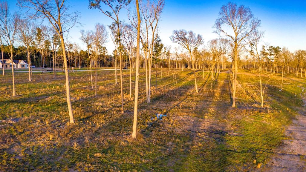 TBD 04 Johnson Drive, Livingston, TX 77351