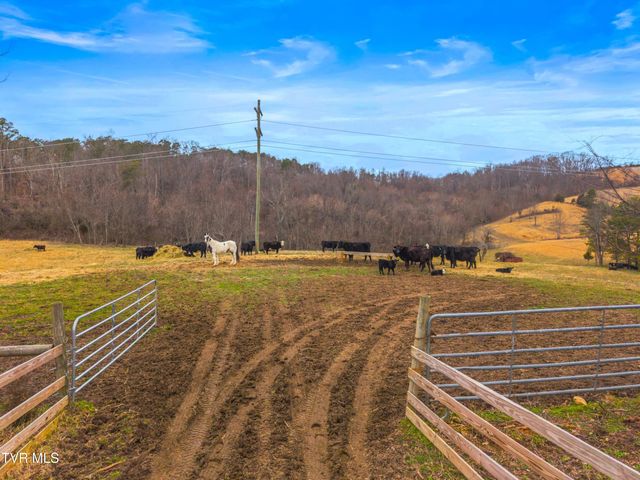 612 Grassy Valley Road, Whitesburg, TN 37891