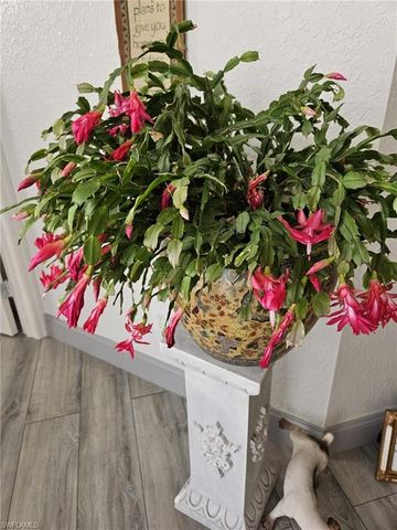 1324 SE 5th PL, Cape Coral, FL 33990