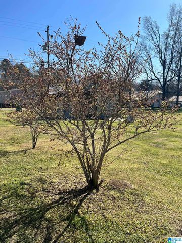 855 MAIN STREET, Sycamore, AL 35149